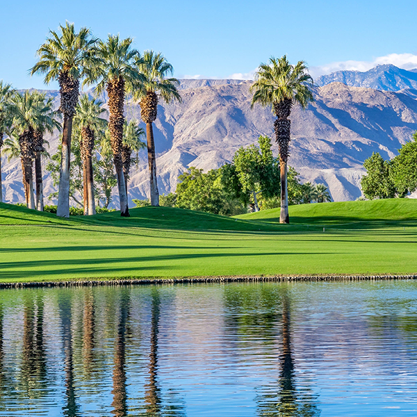 Lisa Longball Golf School Palm Springs Main