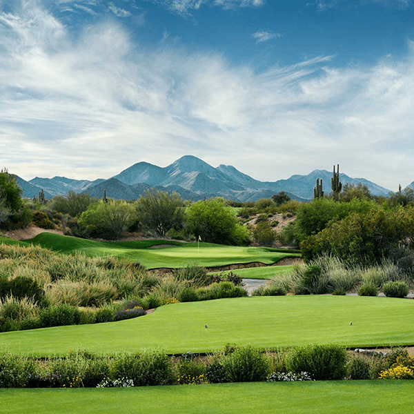 Lisa Longball Golf School Phoenix Main